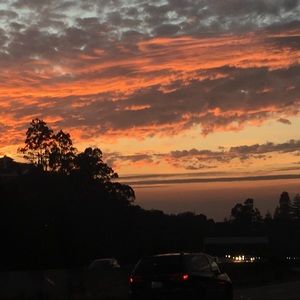 Meet your Posher, Dej